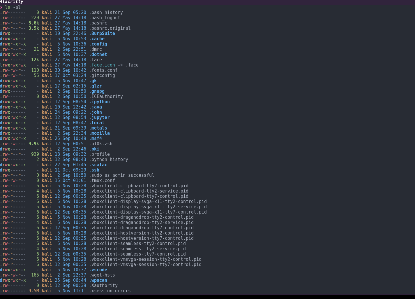 ls command