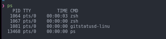 ps command